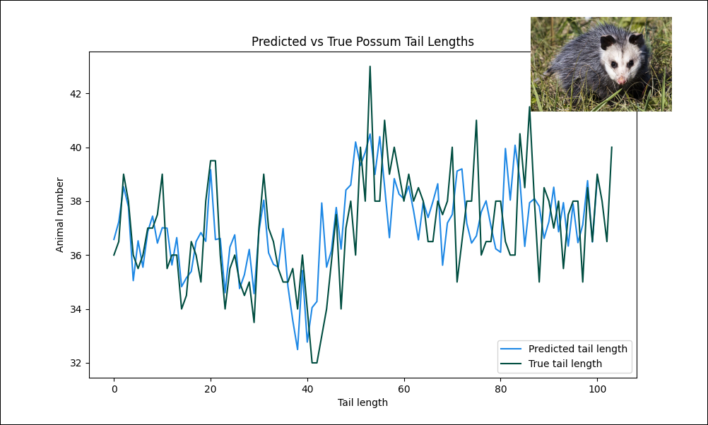 A line plot showing the output of the pipeline described in this use case: the actual and predicted lengths of possum tails plotted for each animal. There is a small cute possum next to the graph.